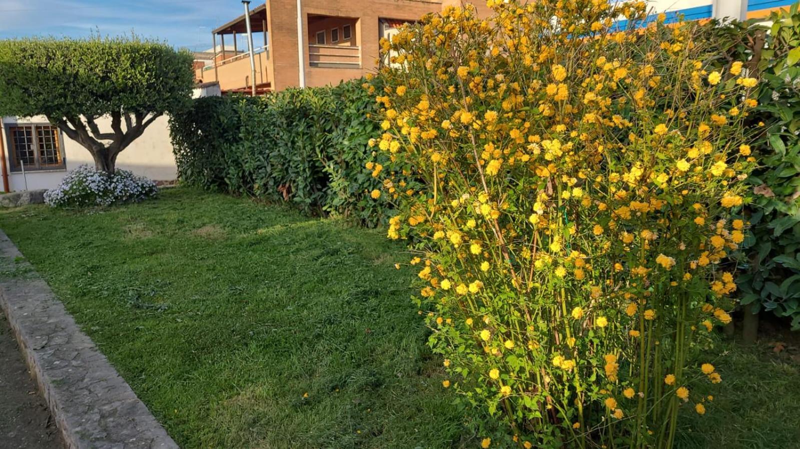 Casetta Delle Fiabe Rom Exteriör bild