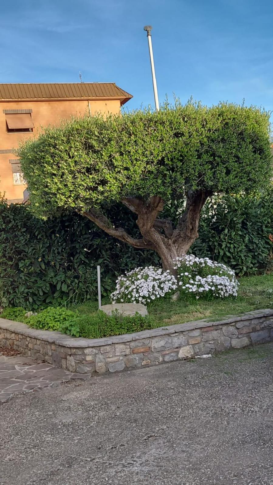 Casetta Delle Fiabe Rom Exteriör bild